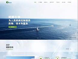 参考
