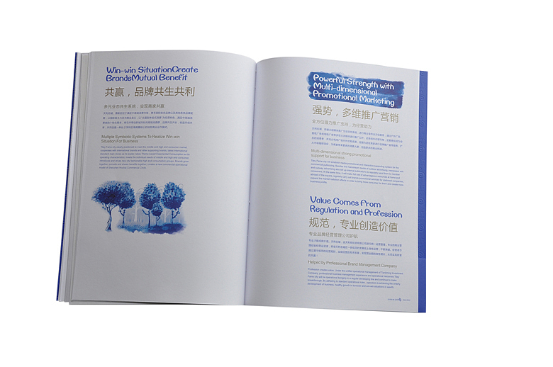 深圳天利名城品牌形象