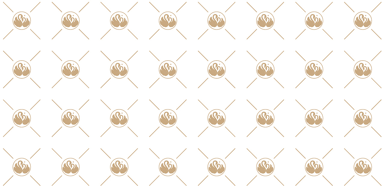 【智驿案例】诗尼曼丨品牌2019形象全新升级