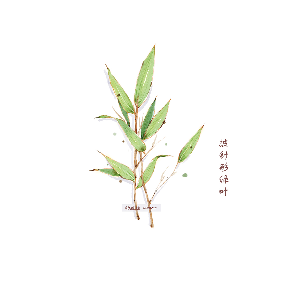 ps 仿水彩 绿叶合集