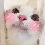 大潇shior的头像