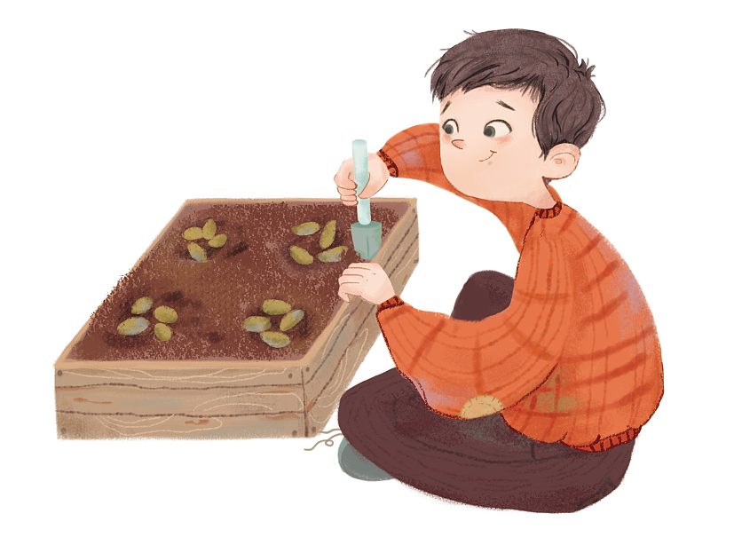 儿童插画 种豌豆