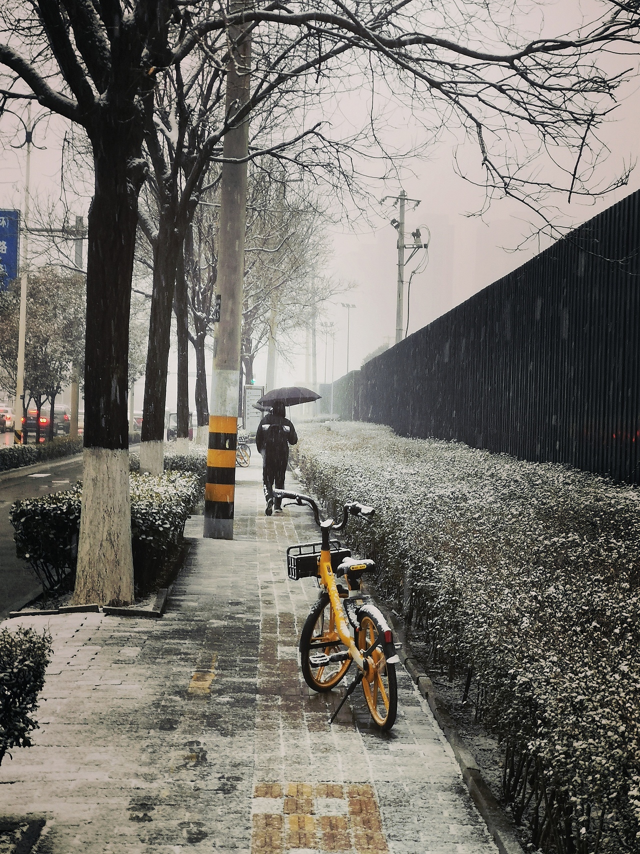 2022第一天上班--遇大雪（图ZMjg3MzgwMTA4） - 人文/纪实摄影 - 站酷设计师痞子帽原创素材 - 站酷ZCOOL