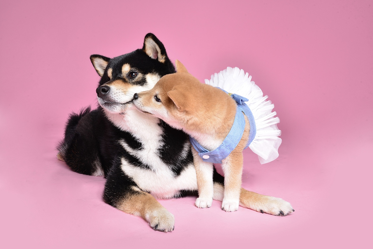 MILA&呜嘟嘟-父女