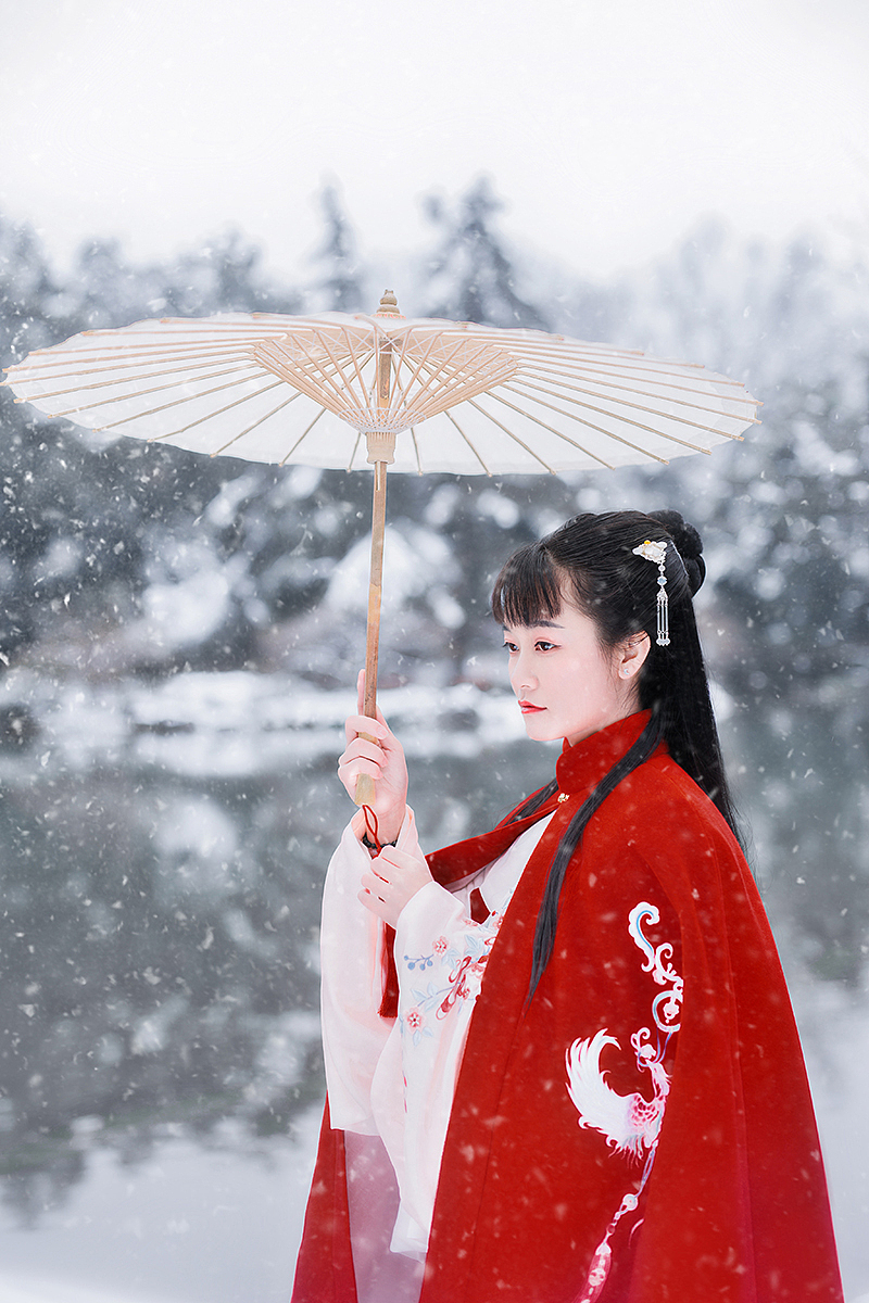 “十里平湖霜满天,寸寸青丝愁华年”