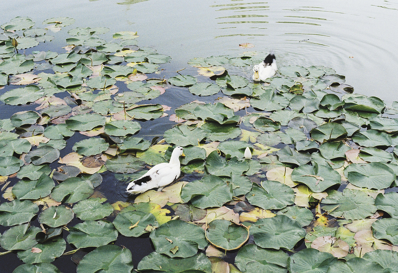 《25℃》（图ZMjU2ODU5OTA4） - 人像摄影 - 站酷设计师老陈不吃泡泡糖原创素材 - 站酷ZCOOL