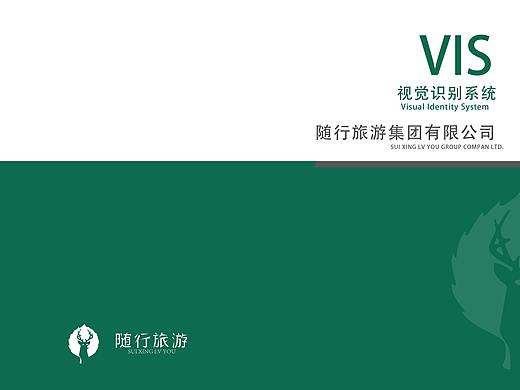 VIS手册