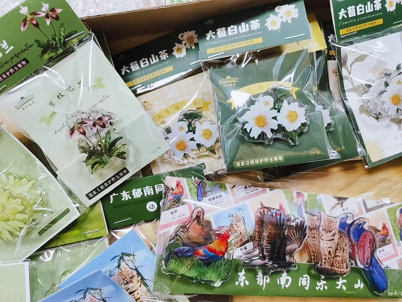 插画文创周边——植物篇（图ZMzAzNzMwMzUy） - 品牌 - 站酷设计师懒九五原创素材 - 站酷ZCOOL