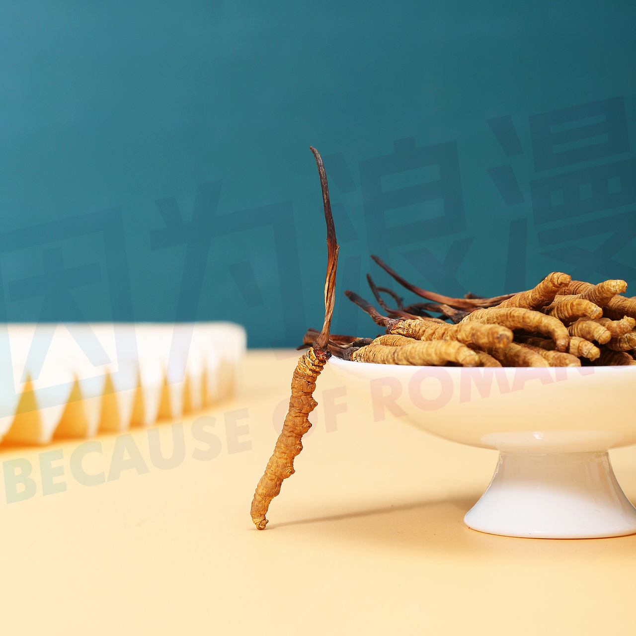 冬虫夏草拍摄、视频作品分享