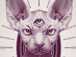 【钞票机理】无毛猫