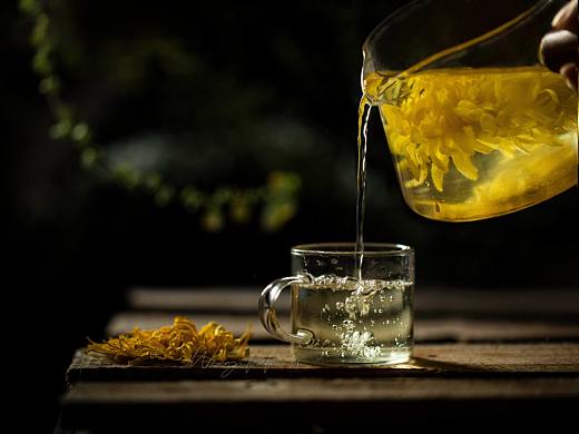 金丝皇菊 静物摄影