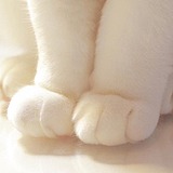 小wong的头像