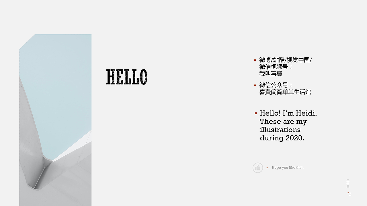 2020年度总结(插画作品集)