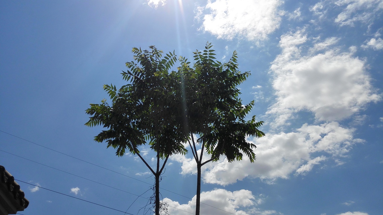 手機(jī)照片做的底圖（圖ZMjg2MjE1MjQ=） - 品牌 - 站酷設(shè)計(jì)師SHINE1115原創(chuàng)素材 - 站酷ZCOOL