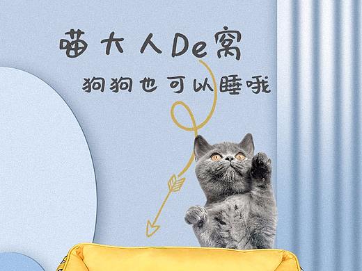 喵大人De窝