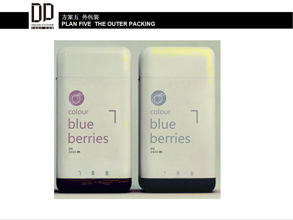 七彩莓LOGO及包装设计PPT