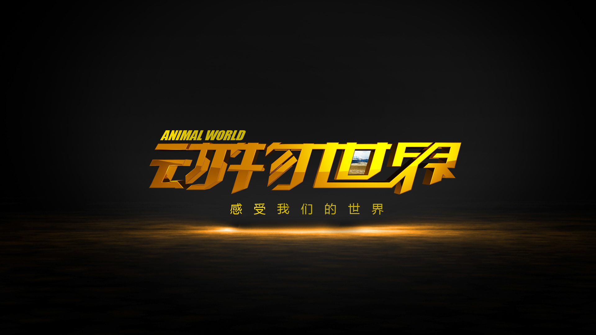 cctv《动物世界》栏目片头包装创意