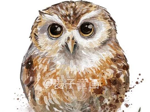 动物水彩插画