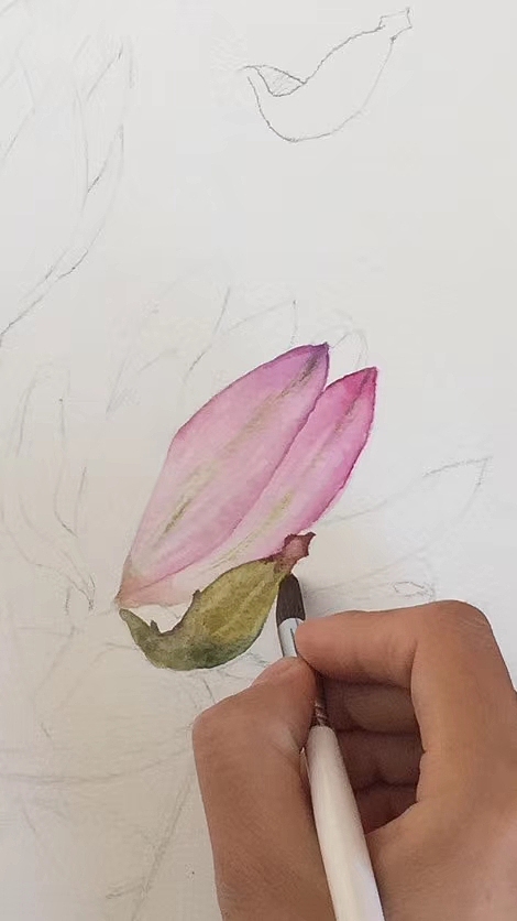 花卉写生（图ZMTgzMzQxNjUy） - 绘画 - 站酷设计师Z93986196原创素材 - 站酷ZCOOL