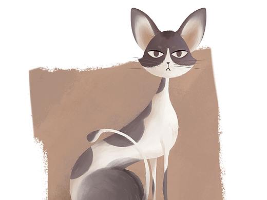 小猫小狗
