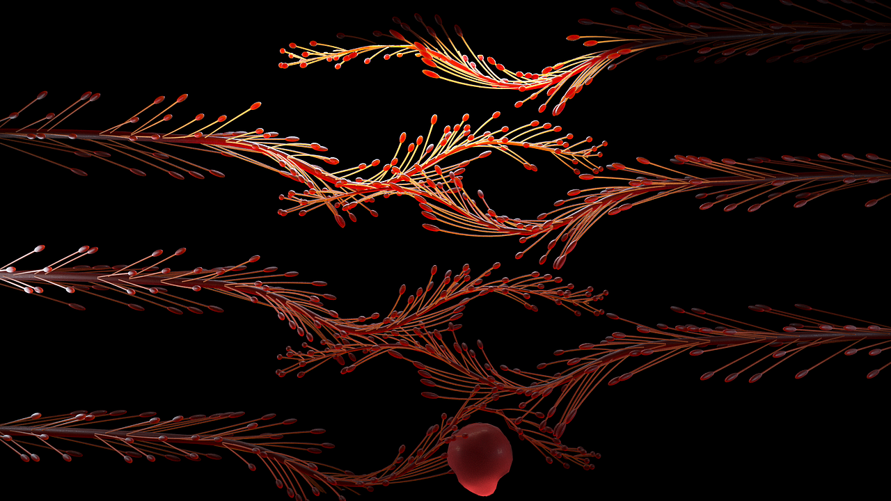 MUMU视觉表现（图ZMjQxNjE2MTMy） - 品牌 - 站酷设计师MUMU视觉原创素材 - 站酷ZCOOL