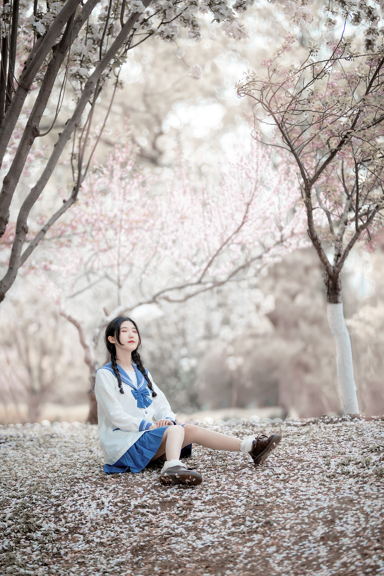 北京玉渊潭公园樱花