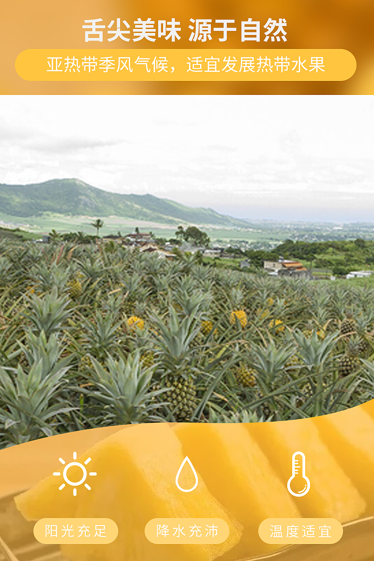 详情页设计——凤梨（菠萝）（图ZMjU2NDU2NTc2） - 其他平面 - 站酷设计师梁妃娟原创素材 - 站酷ZCOOL