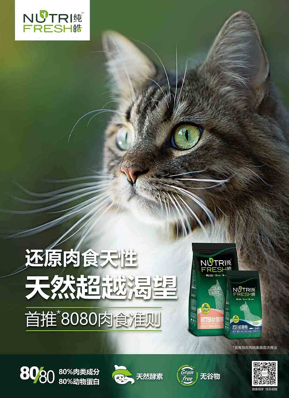 肉食天性貓糧視覺設(shè)計（圖ZMTA4NTc5OTgw） - 海報 - 站酷設(shè)計師年糕姐姐WindyQ原創(chuàng)素材 - 站酷ZCOOL