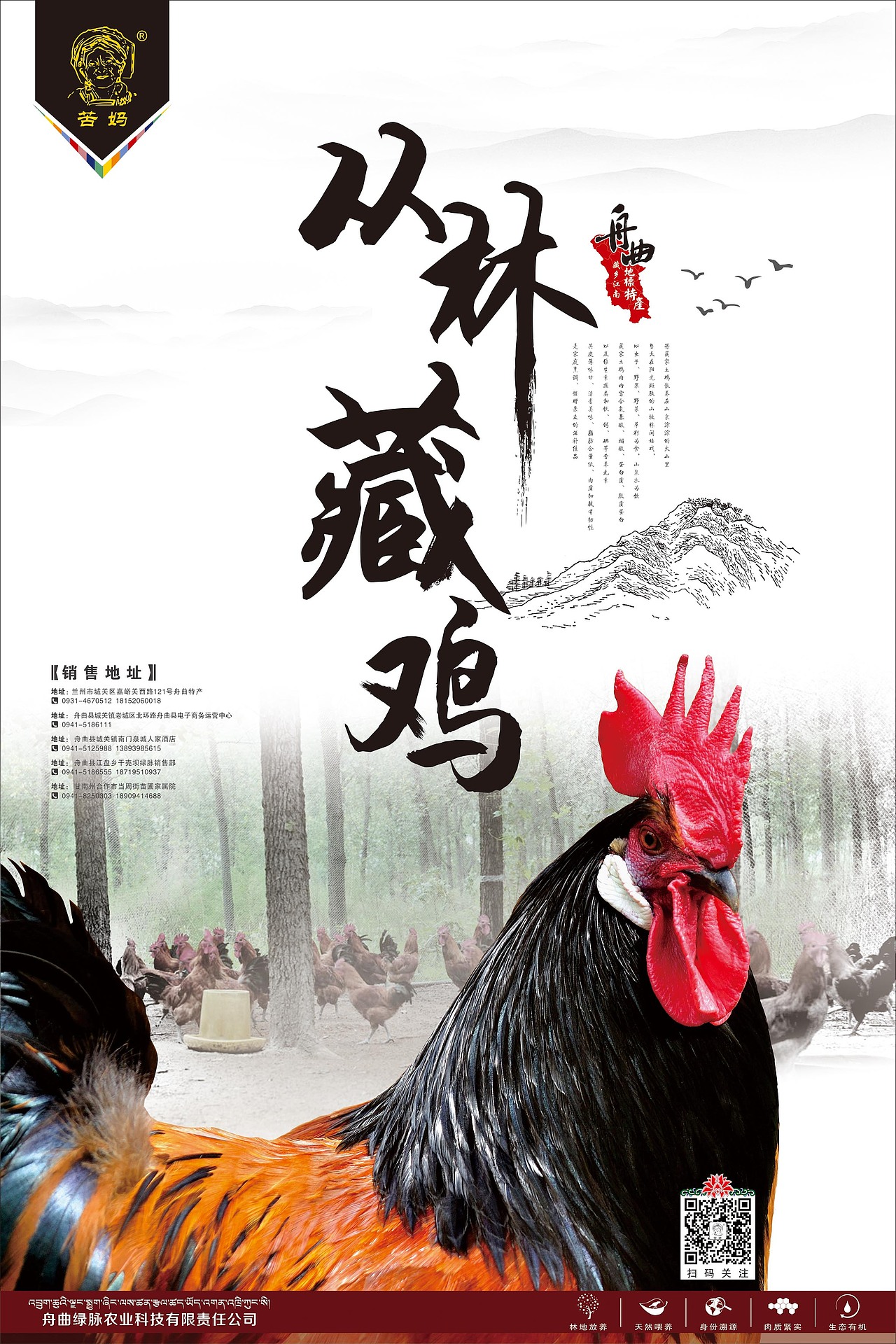 宣传物料--藏鸡（图ZMTQ0NTg2NTE2） - 宣传物料 - 站酷设计师小瓶子1232原创素材 - 站酷ZCOOL