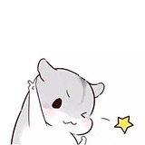 流浪猫的时光机X的头像