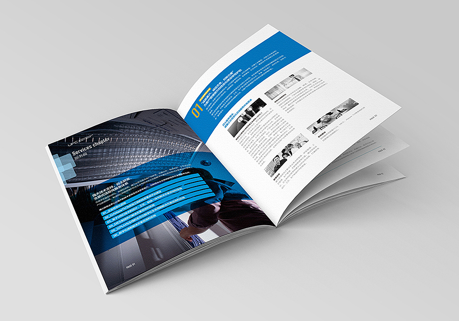 赛狮画册设计集合