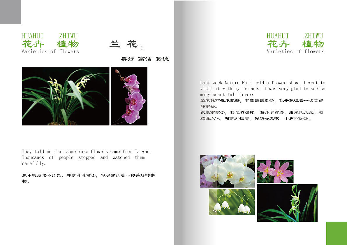 画册（图ZOTk3MDQ5MDQ=） - 书籍/画册 - 站酷设计师君心吾心原创素材 - 站酷ZCOOL