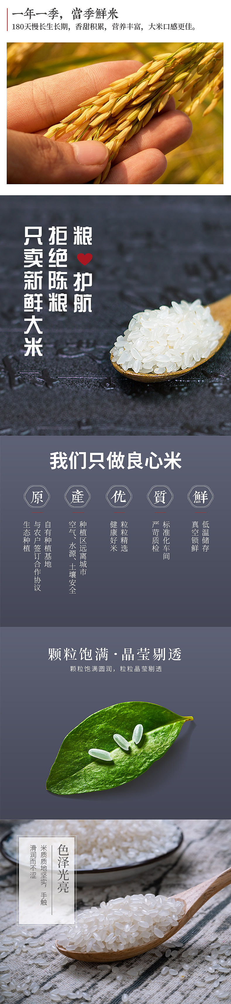 大米详情（图ZMTYzMTMzNTM2） - 宣传物料 - 站酷设计师瑶想空间原创素材 - 站酷ZCOOL