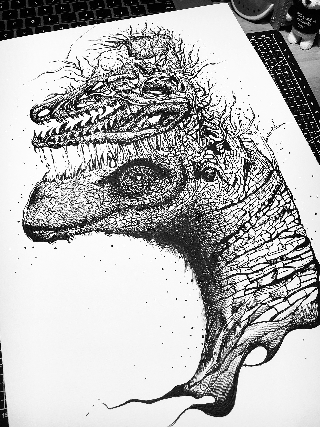 黑白手绘插画日常练习：头骨分离（图ZMTc1NTYyNzk2） - 创作习作 - 站酷设计师Panda刘原创素材 - 站酷ZCOOL