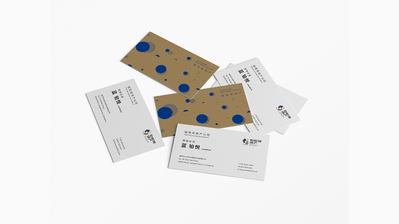 品牌设计-铂悦湾地产