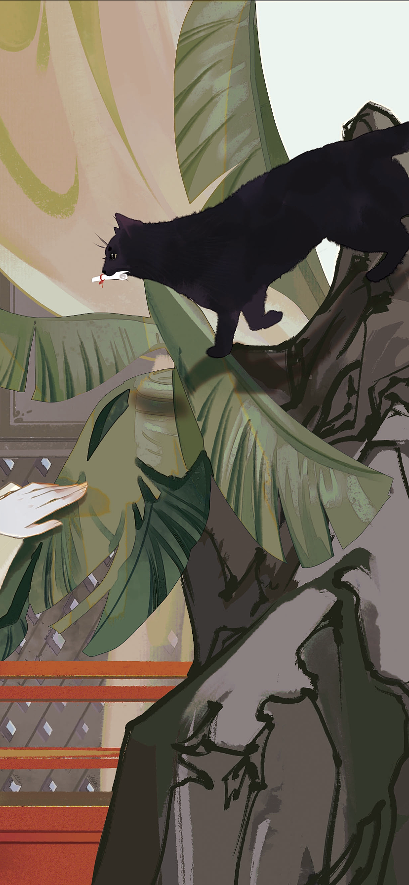 《闲庭有喵来》