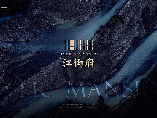 一组支离破碎的提案（2020）