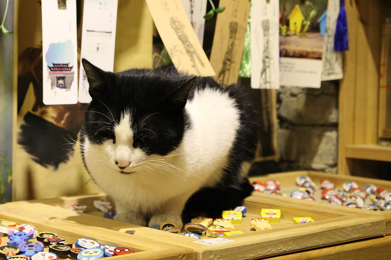 日常摄影（一）（图ZOTgwMDE2ODA=） - 人文/纪实摄影 - 站酷设计师胡宝辉原创素材 - 站酷ZCOOL