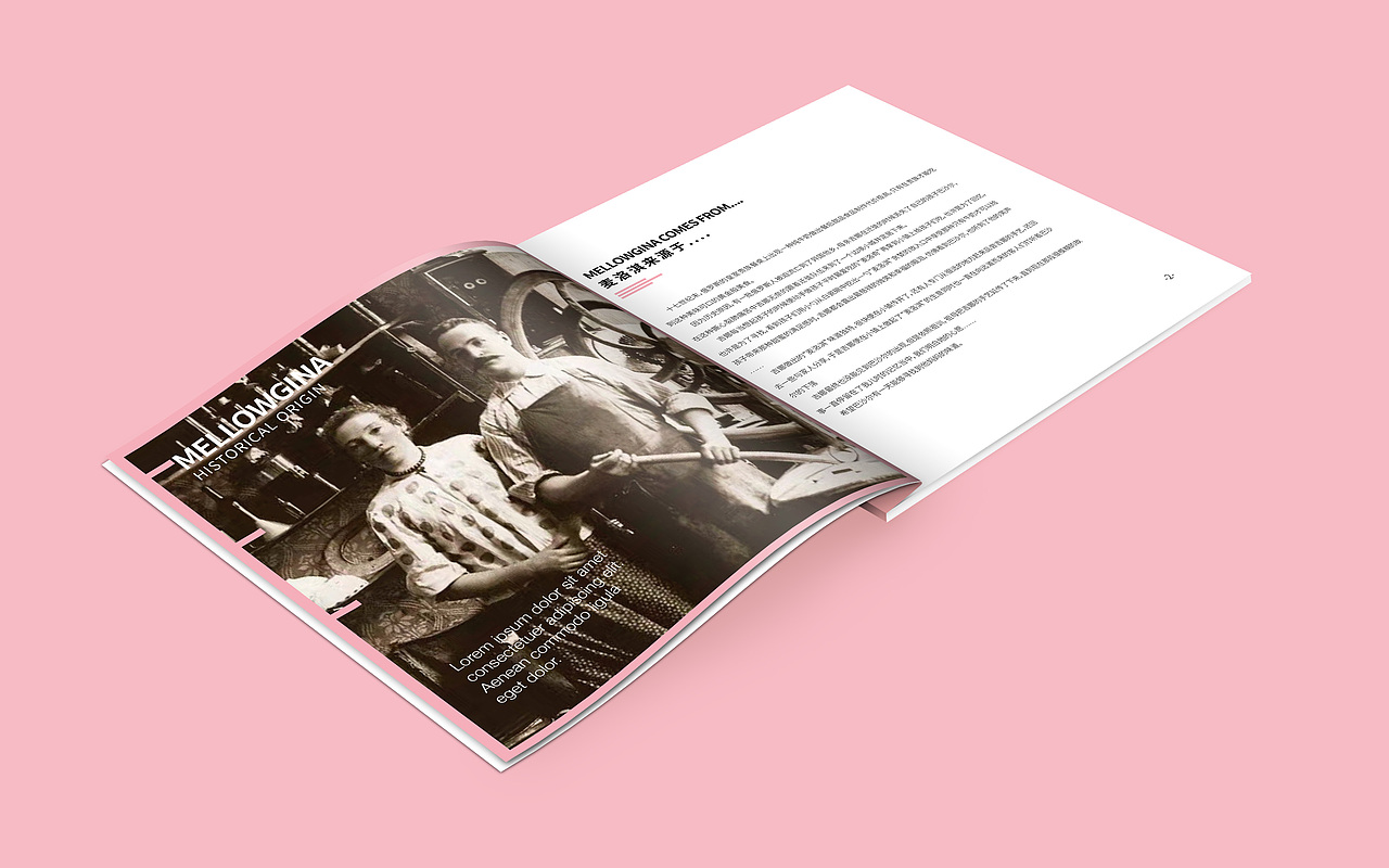 画册（图ZMTIwNTUzMTg4） - 宣传物料 - 站酷设计师杨一momo原创素材 - 站酷ZCOOL