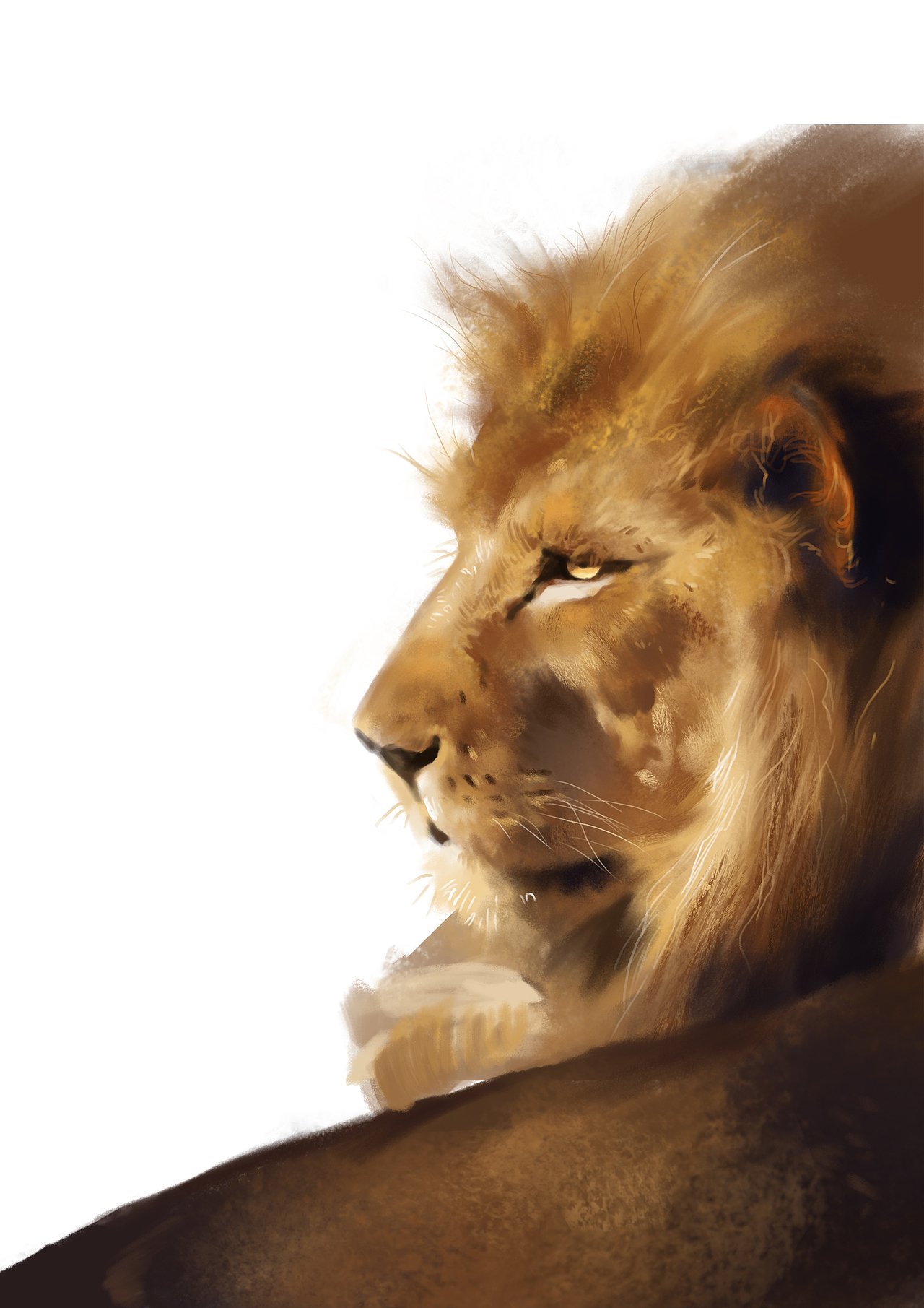 写实科普动物插画