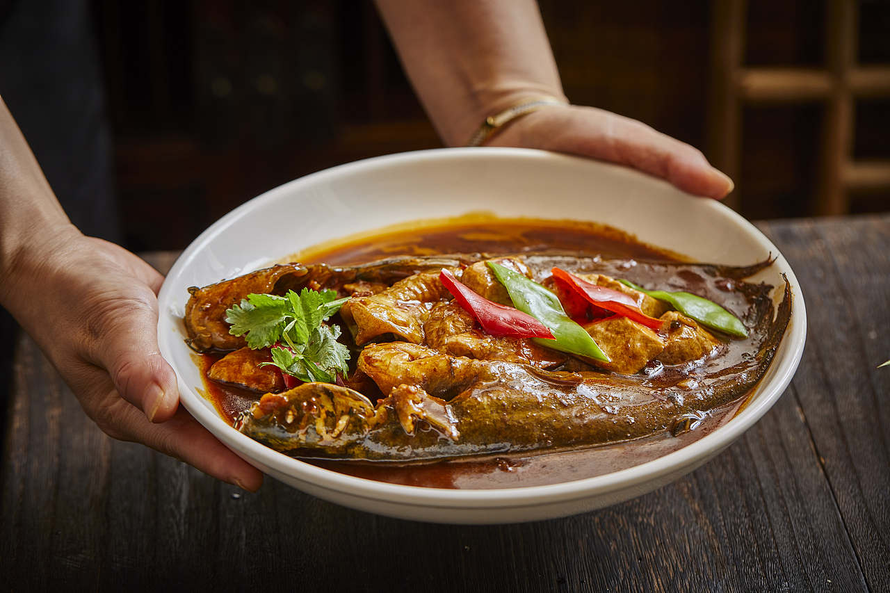 扬州|膳曰·半亩食塘