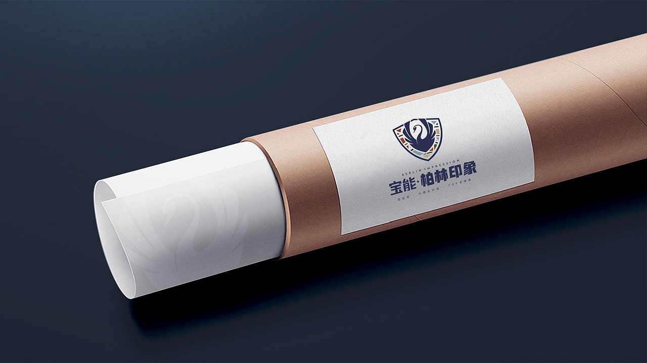 天津宝能竞稿（图ZMTU4ODQyOTk2） - 品牌 - 站酷设计师奇怪的山里人原创素材 - 站酷ZCOOL