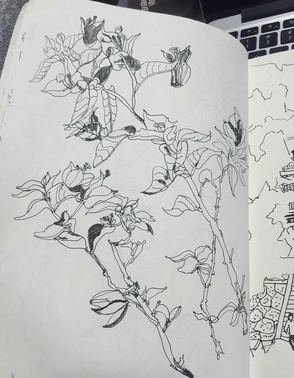 涂鸦分享（图ZMzkwODE3MDg=） - 艺术插画 - 站酷设计师夏尛寞滴原创素材 - 站酷ZCOOL