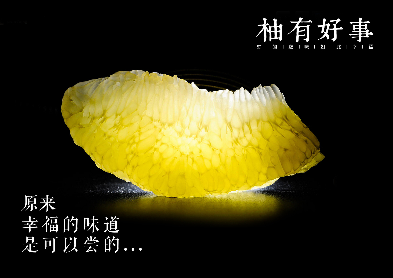 柚有好事LOGO提案（图ZMjQ2MjkxNDg=） - Logo - 站酷设计师tony16883原创素材 - 站酷ZCOOL