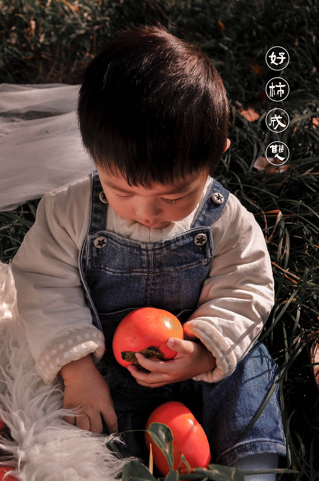 秋.柿（图ZMjMwNjQ1Njg4） - 人像摄影 - 站酷设计师芸夏的夏天原创素材 - 站酷ZCOOL