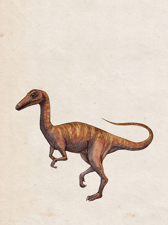 和搭档的可怕丑恐龙们（图ZMTU2NTQ2NDk2） - 儿童插画 - 站酷设计师极光科研所原创素材 - 站酷ZCOOL