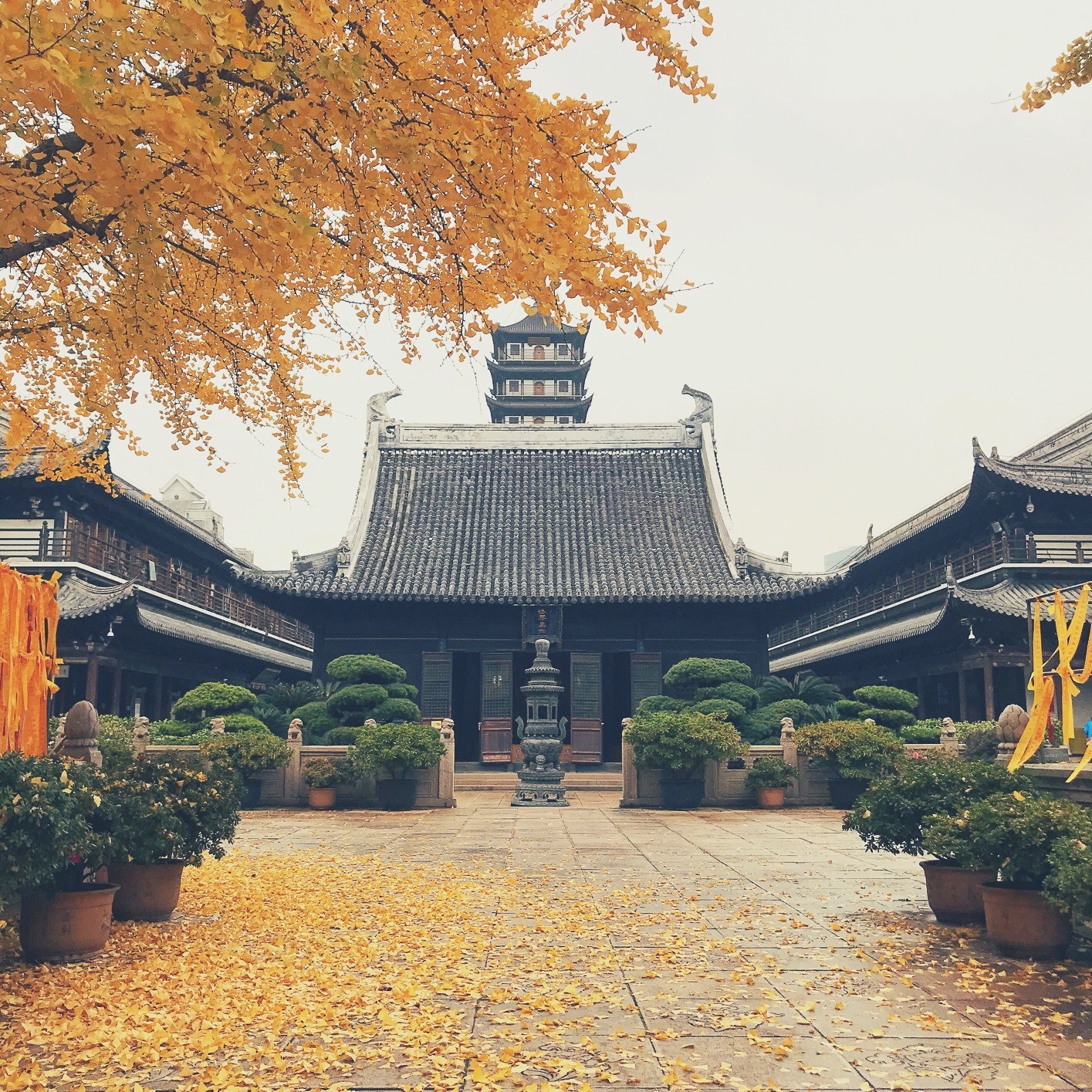 手机摄影 - 上海 - 真如寺