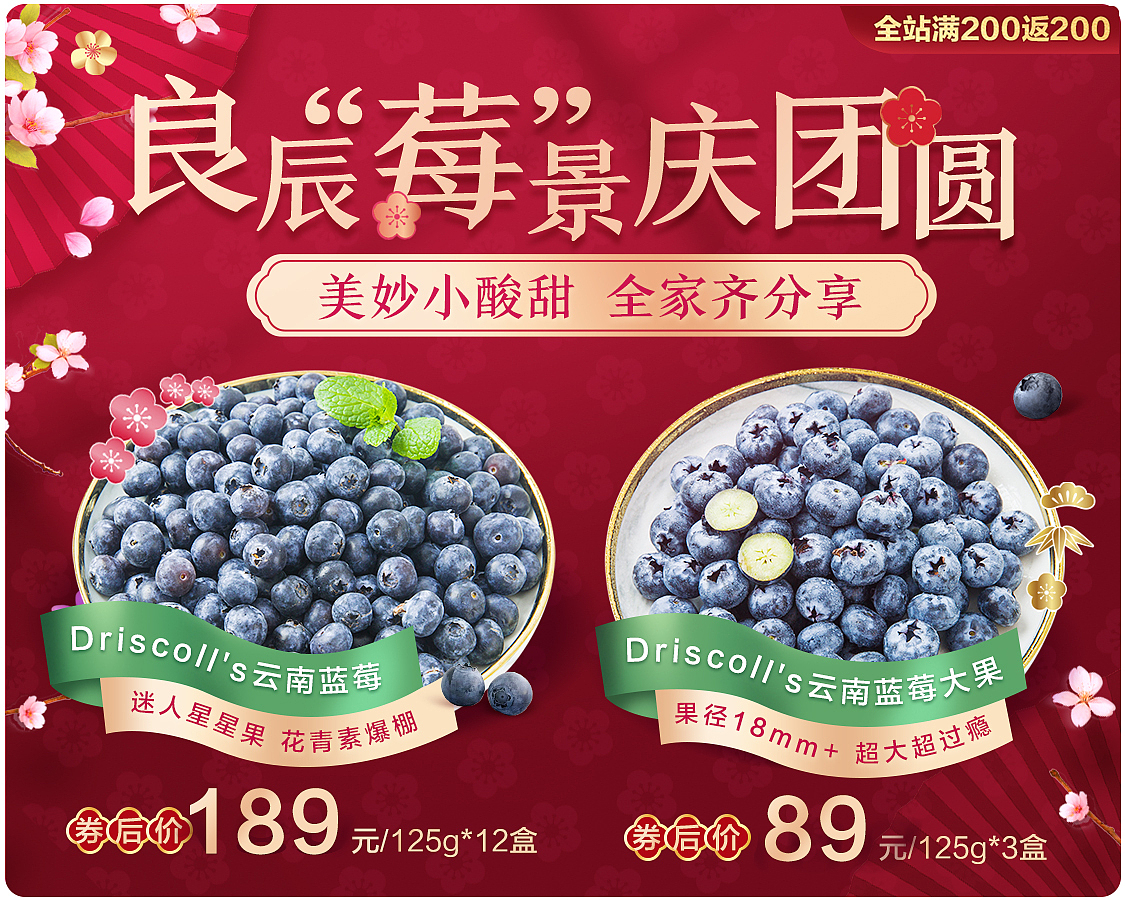 良辰莓景慶團(tuán)圓（藍(lán)莓專題）（圖ZMTkzNzY5Mzg4） - 電商 - 站酷設(shè)計(jì)師大白免奶糖原創(chuàng)素材 - 站酷ZCOOL