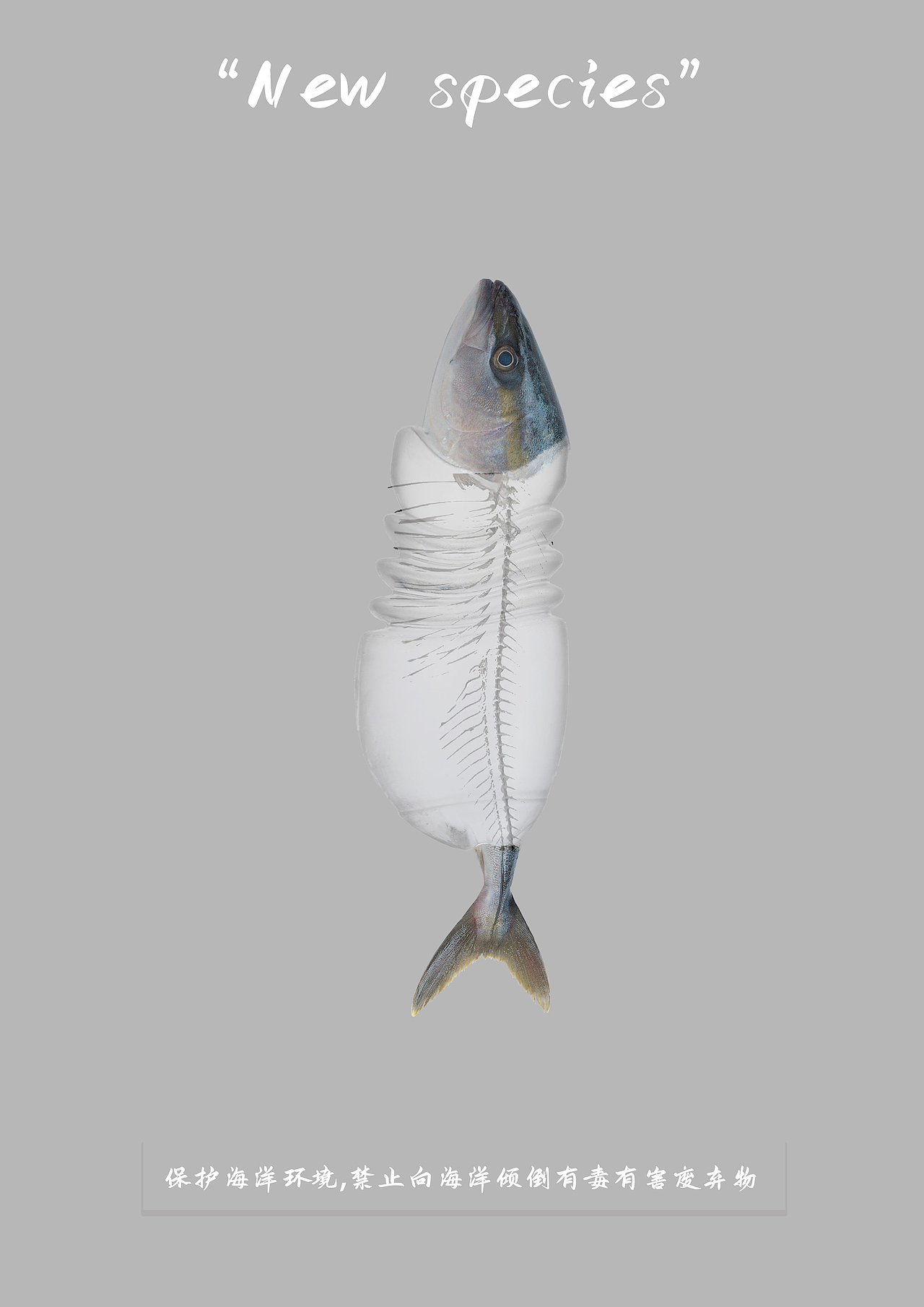 海洋新物种（图ZMjExODgwMjcy） - 海报 - 站酷设计师Zyan0306原创素材 - 站酷ZCOOL