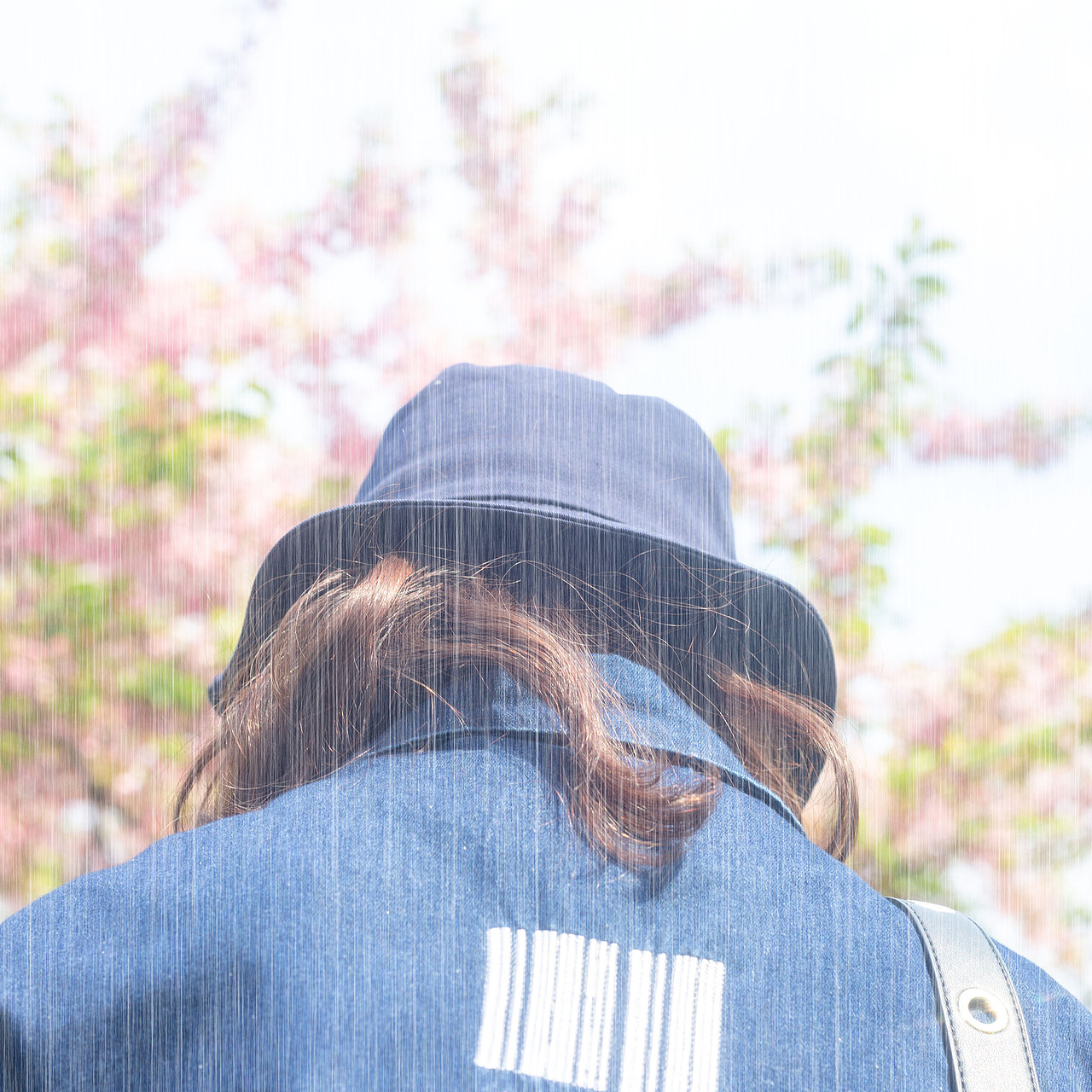 戴蓝色牛仔帽的女孩